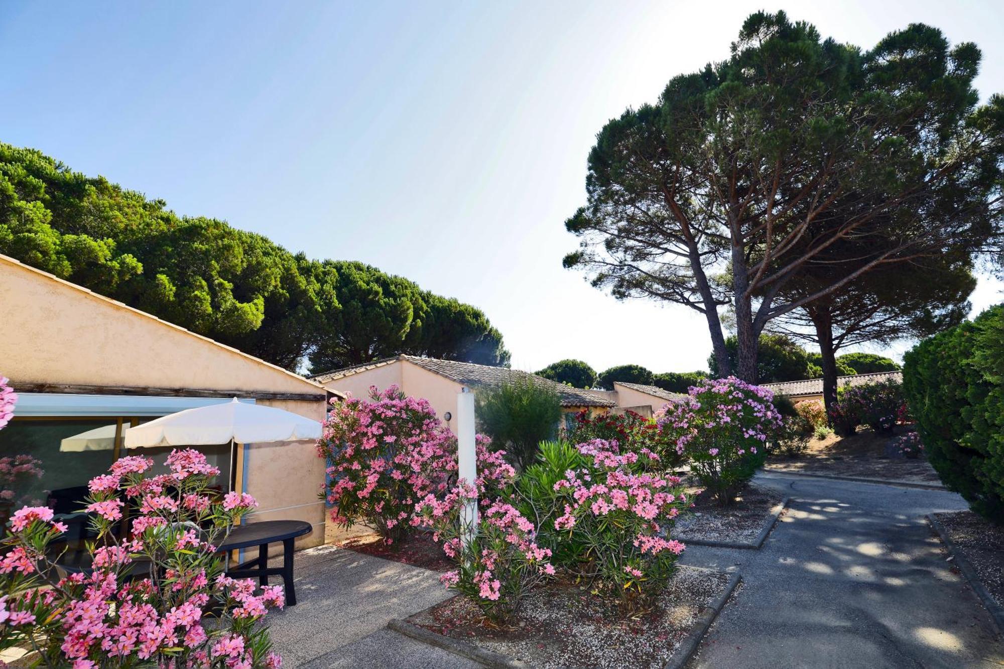 Village Vacances De Ramatuelle - Le Sentier Des Pins Exterior foto