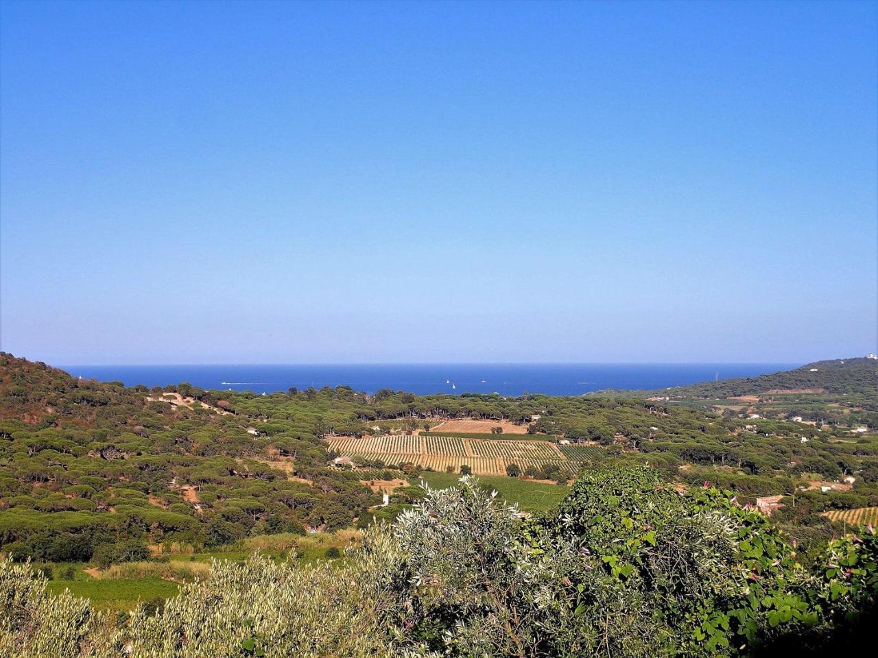 Village Vacances De Ramatuelle - Le Sentier Des Pins Exterior foto